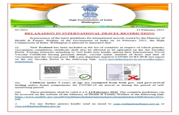 Relaxation in International Travel Restrictions 